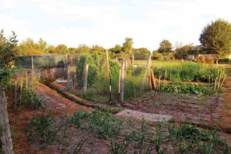 Chicken-Scratched Flood Channel Image